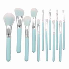 12 pieces of makeup brushes, makeup tools, foundation make-up, eye shadow, complete set(E)