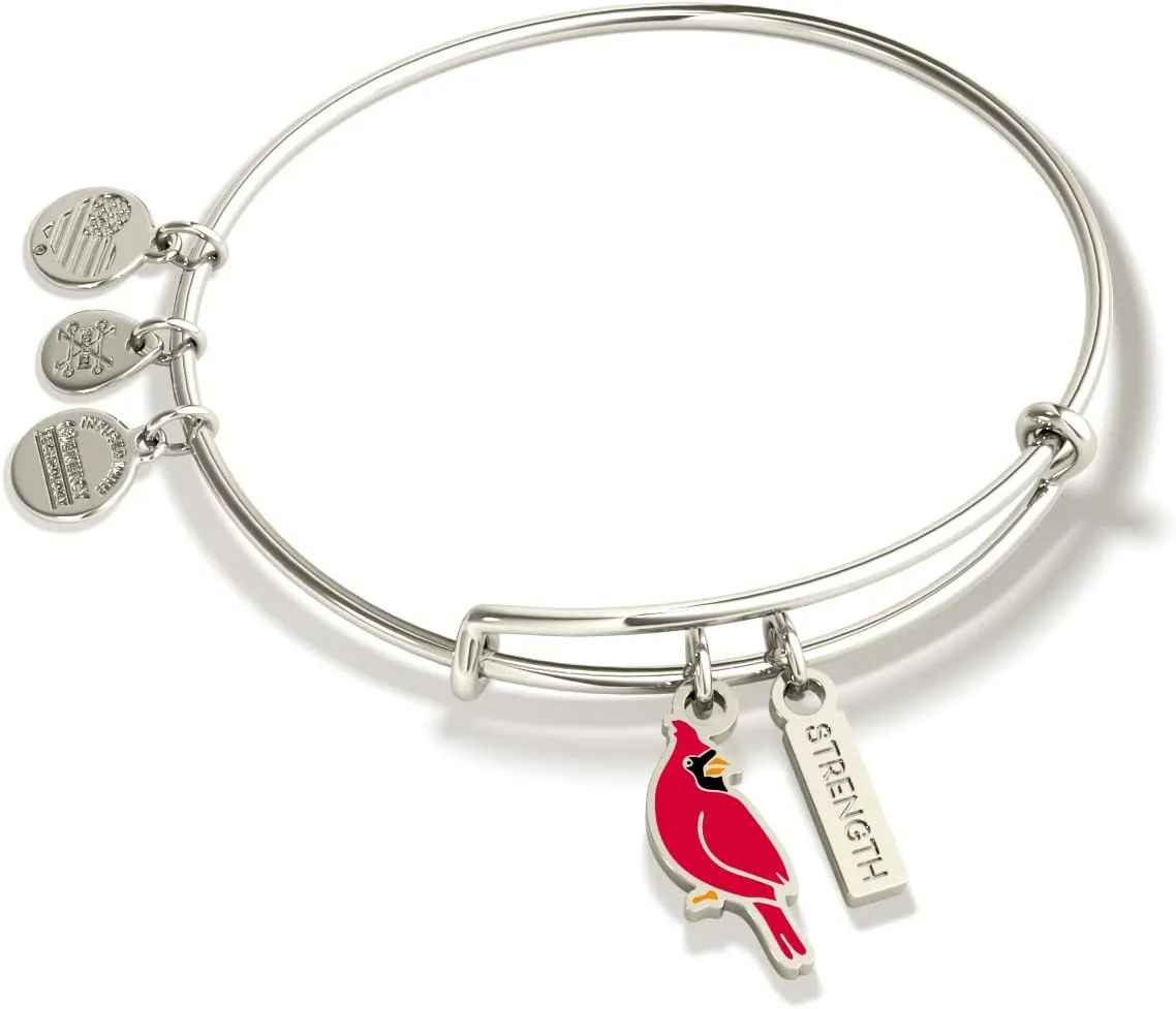 Alex and Ani Symbols and Tokens Expandable Bangle for Women, Cardinal Charm, Shiny Silver Finish, 2 to 3.5 in