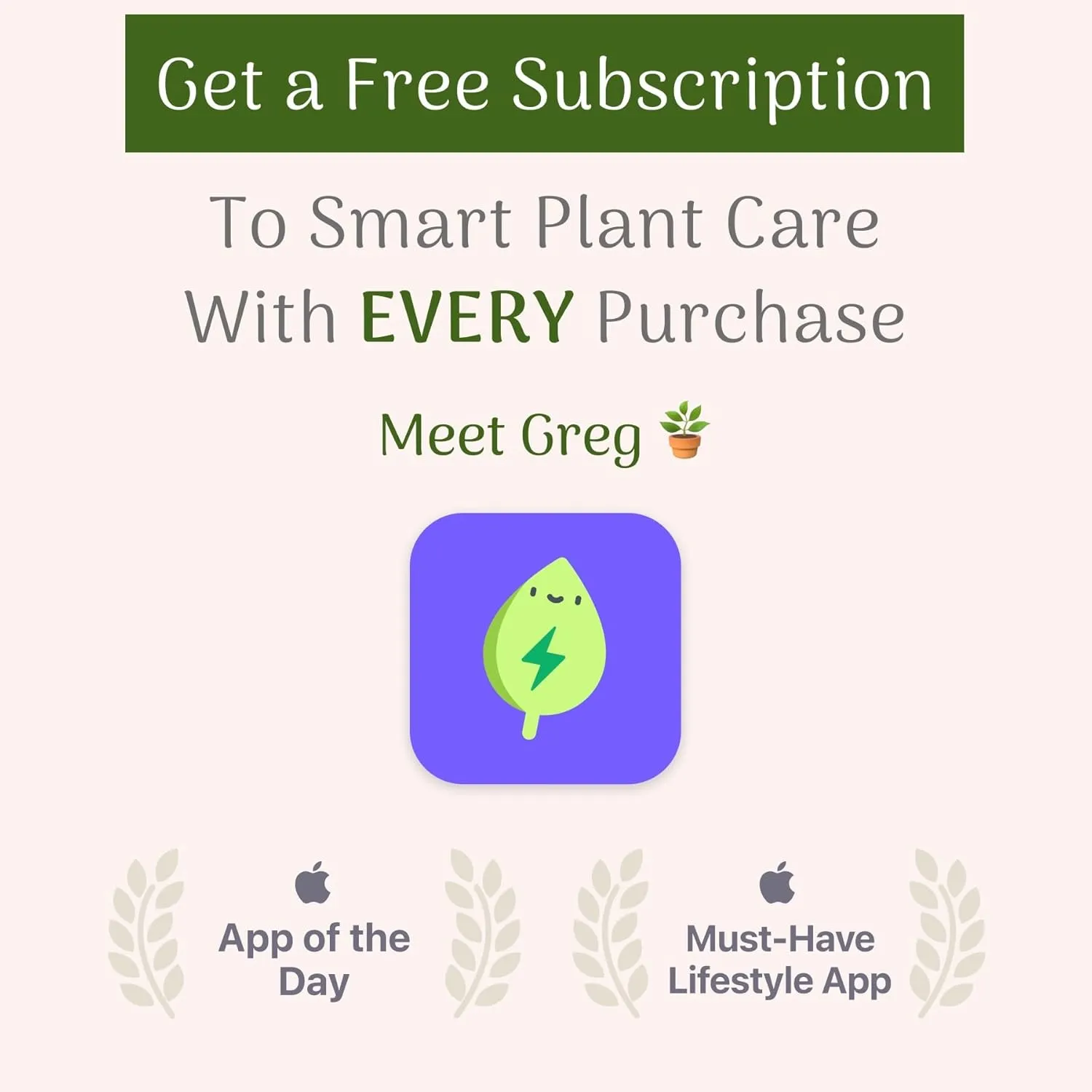 American Plant Exchange Live Mammy Croton Plant, Plant Pot for Home and Garden Decor, 10" Pot