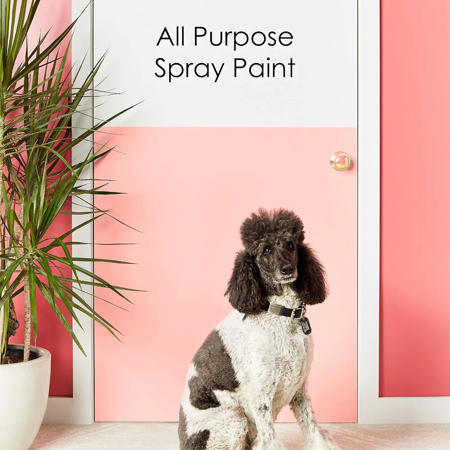 Krylon K05528007 COLORmaxx Spray Paint and Primer for Indoor/Outdoor Use, Gloss Mambo Pink, 12 Ounce (Pack of 2)