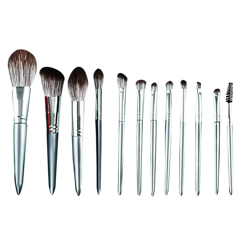 Makeup Brush Set 12pcs Premium Makeup Brushes, Advanced Professional Makeup Kit Eyeshadow Brush Kabuki Brush for Powder Foundation Cosmetic Brsuhes Set Silver Gray
