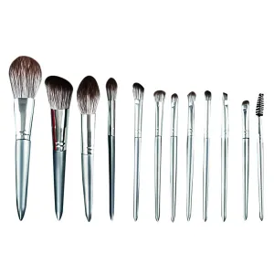 Makeup Brush Set 12pcs Premium Makeup Brushes, Advanced Professional Makeup Kit Eyeshadow Brush Kabuki Brush for Powder Foundation Cosmetic Brsuhes Set Silver Gray