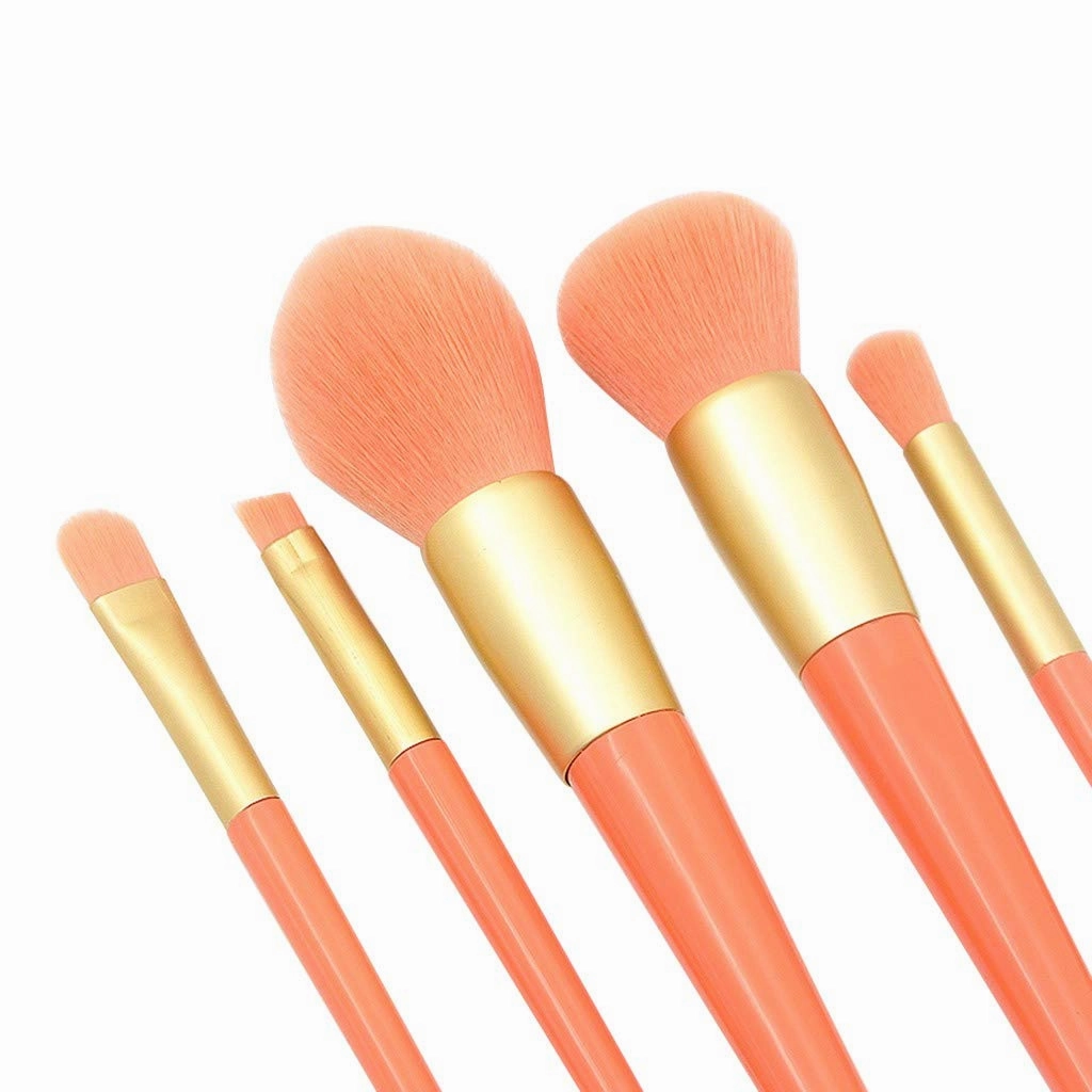 Pcs Eye Brush Handle Brush Makeup Plastic Paint Brush Set 5 Powder Brush Setting Spray