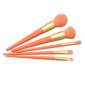 Pcs Eye Brush Handle Brush Makeup Plastic Paint Brush Set 5 Powder Brush Setting Spray
