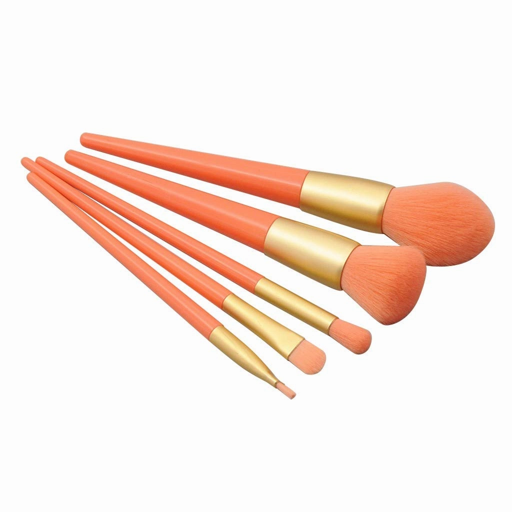 Pcs Eye Brush Handle Brush Makeup Plastic Paint Brush Set 5 Powder Brush Setting Spray