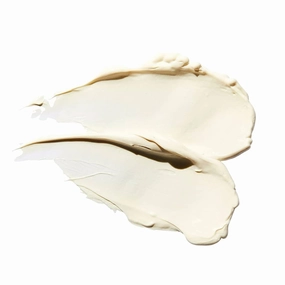 Re-Chaga - Skin Cell Boosting - Chaga Mushroom Face Cream - 100ml x10