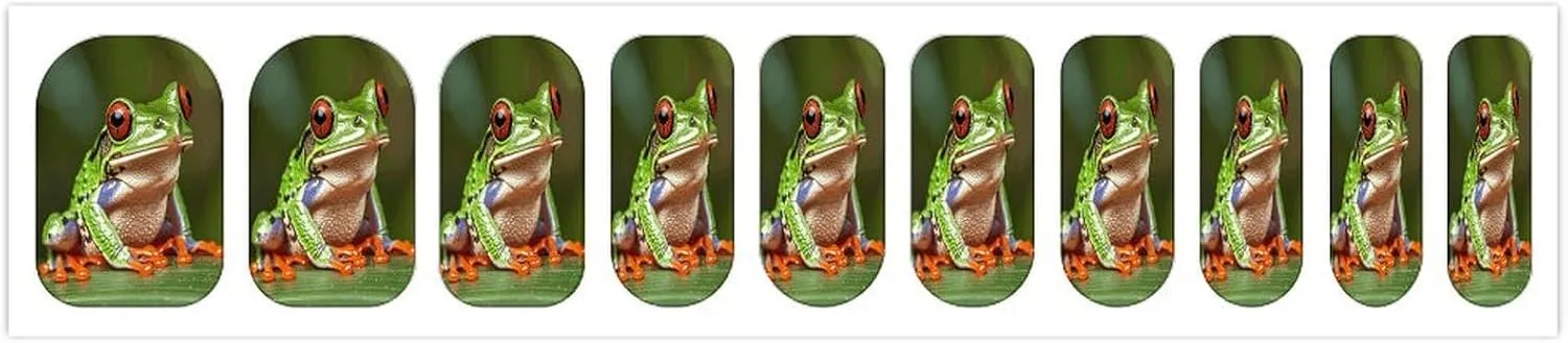 Red Eyed Frog Nail Stickers Manicure Decoration with 5 Boxes Full Wrap Self-Adhesive Nail Strips Easy to Apply & Remove Long Lasting Polish Strips for Women Gifts
