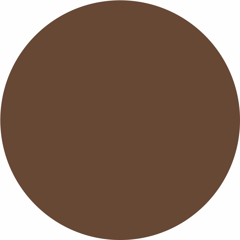 Ritual Skin Foundation Stick Rich
