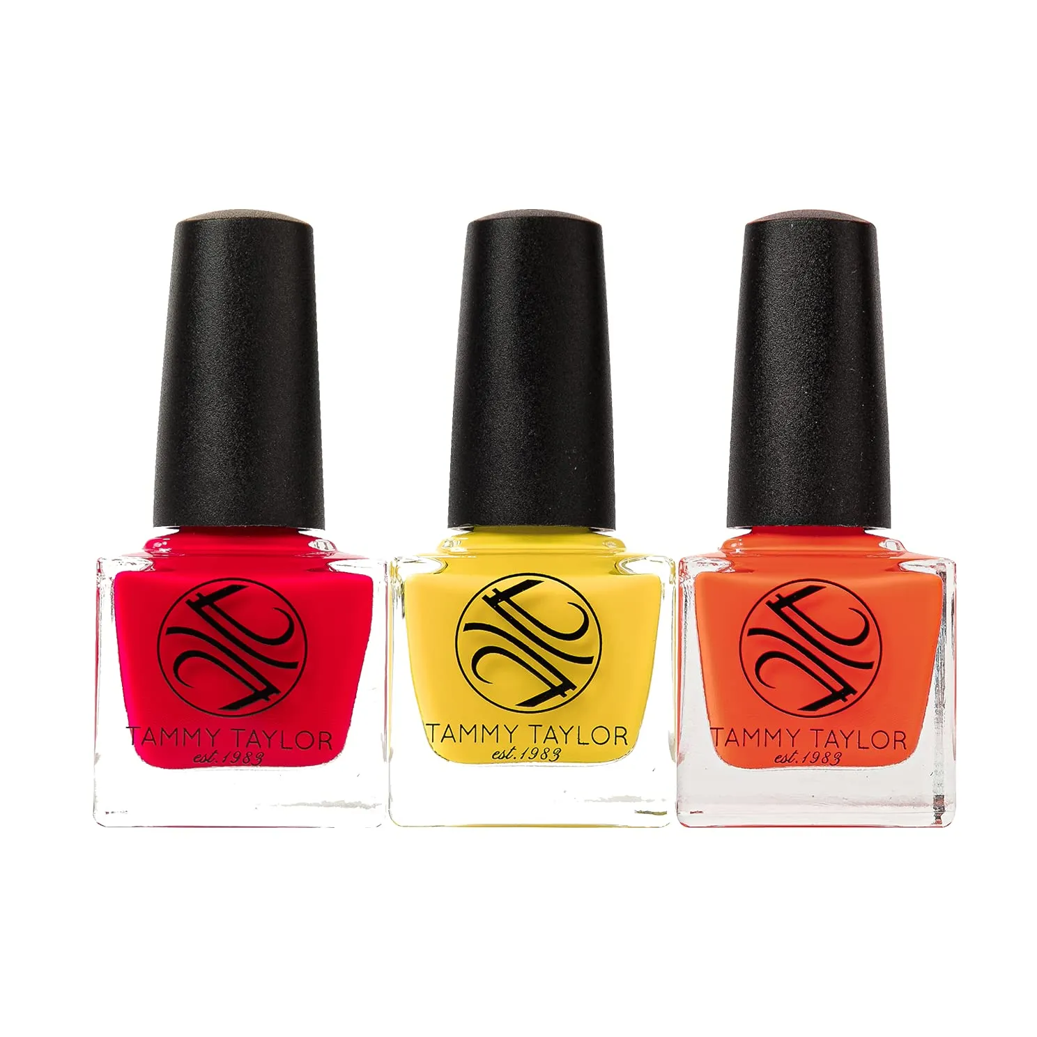Tammy Taylor Pop Art | Entire Collection Bundle